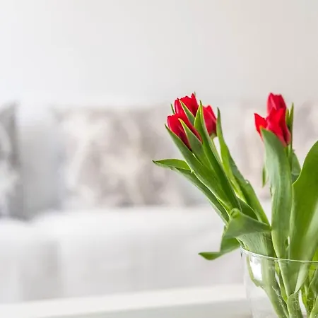 Apartamento Delimar 2 Daire *